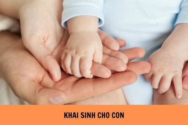 Một số tình huống pháp luật về khai sinh (Tình huống 1)